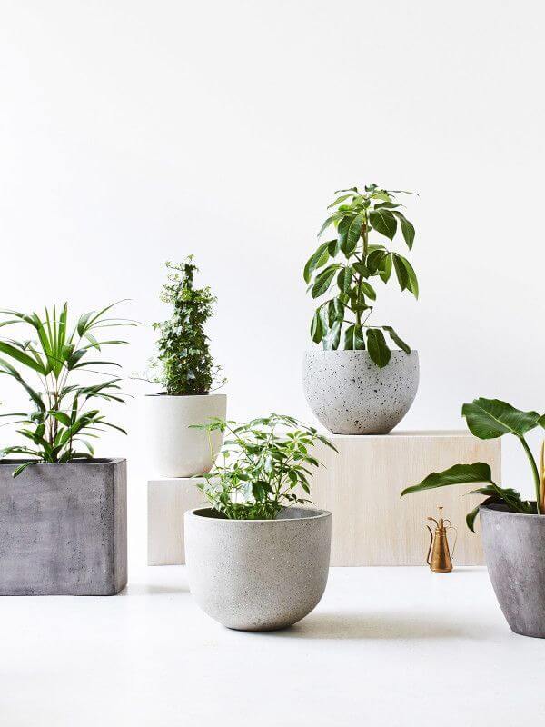 DIY - Como fazer um vaso de plantas de concreto