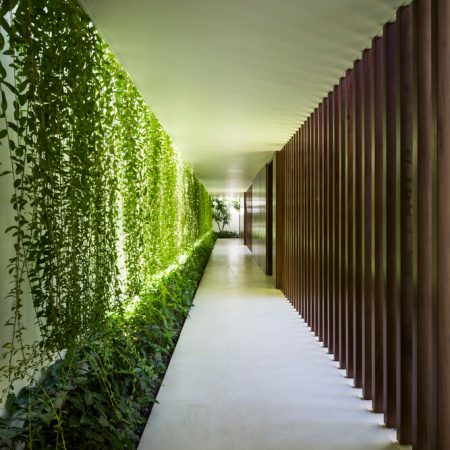 Casa Moderna + Jardim no Vietnã por MIA Design Studio 011 Corredor Cortina Verde Plantas
