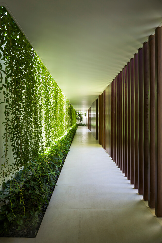 Casa Moderna + Jardim no Vietnã por MIA Design Studio 011 Corredor Cortina Verde Plantas