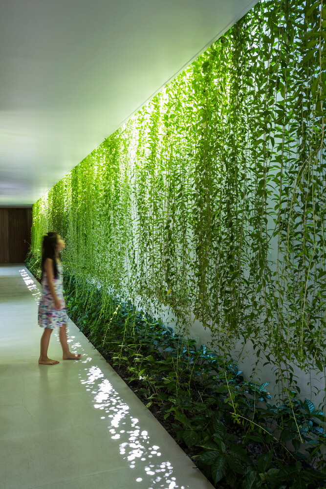 Casa Moderna + Jardim no Vietnã por MIA Design Studio 012 Corredor Cortina Verde Plantas