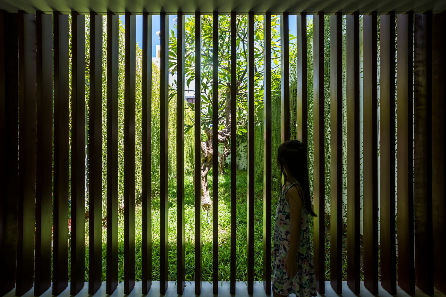 Casa Moderna + Jardim no Vietnã por MIA Design Studio 018 Corredor com Jardim Cortina Verde