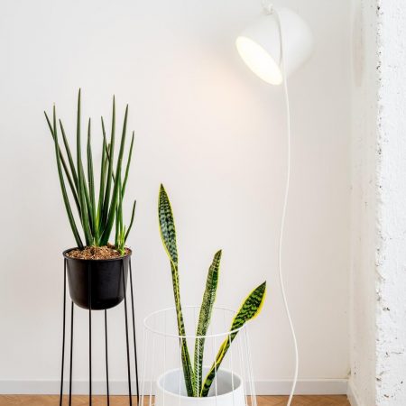 Vasos de plantas para apartamento